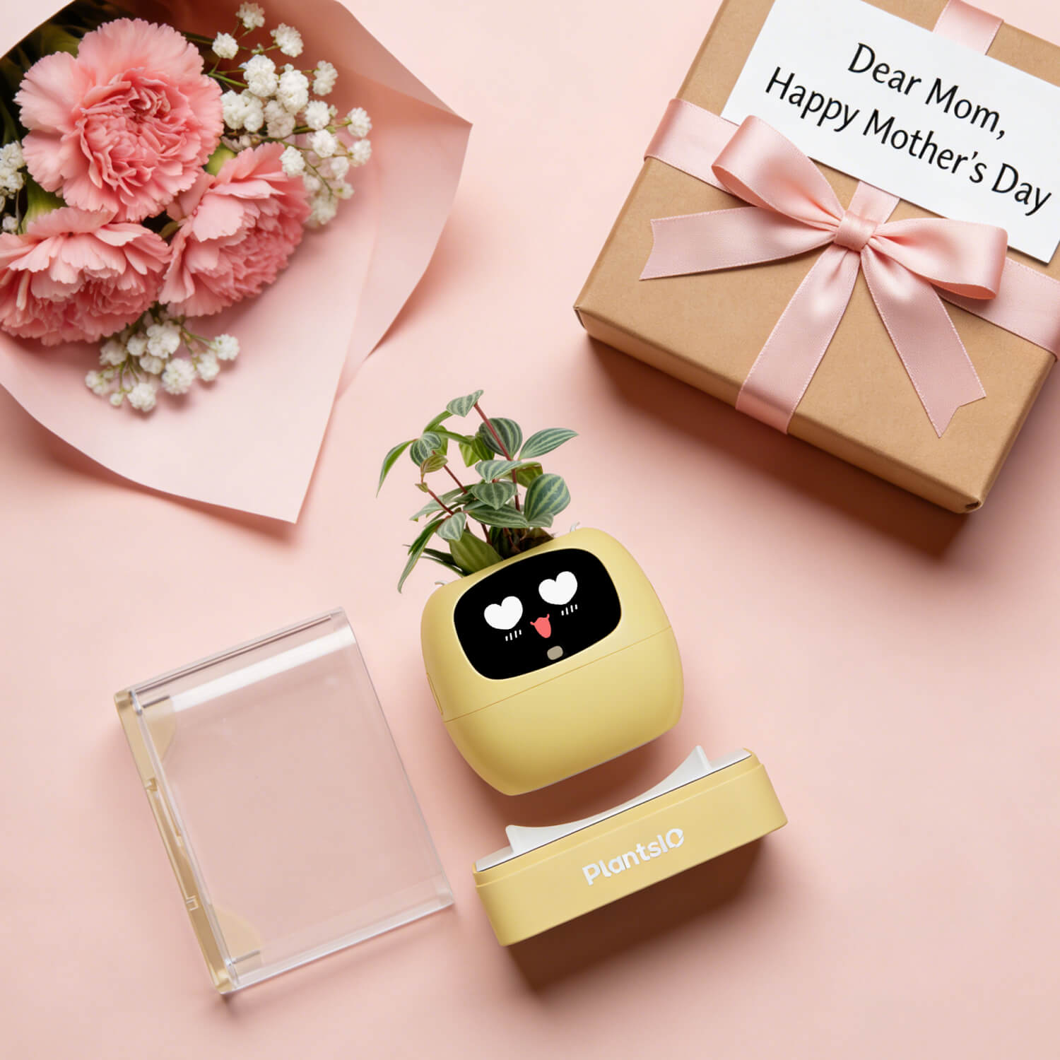 ivy - A Thoughtful Gift for Every Occasion