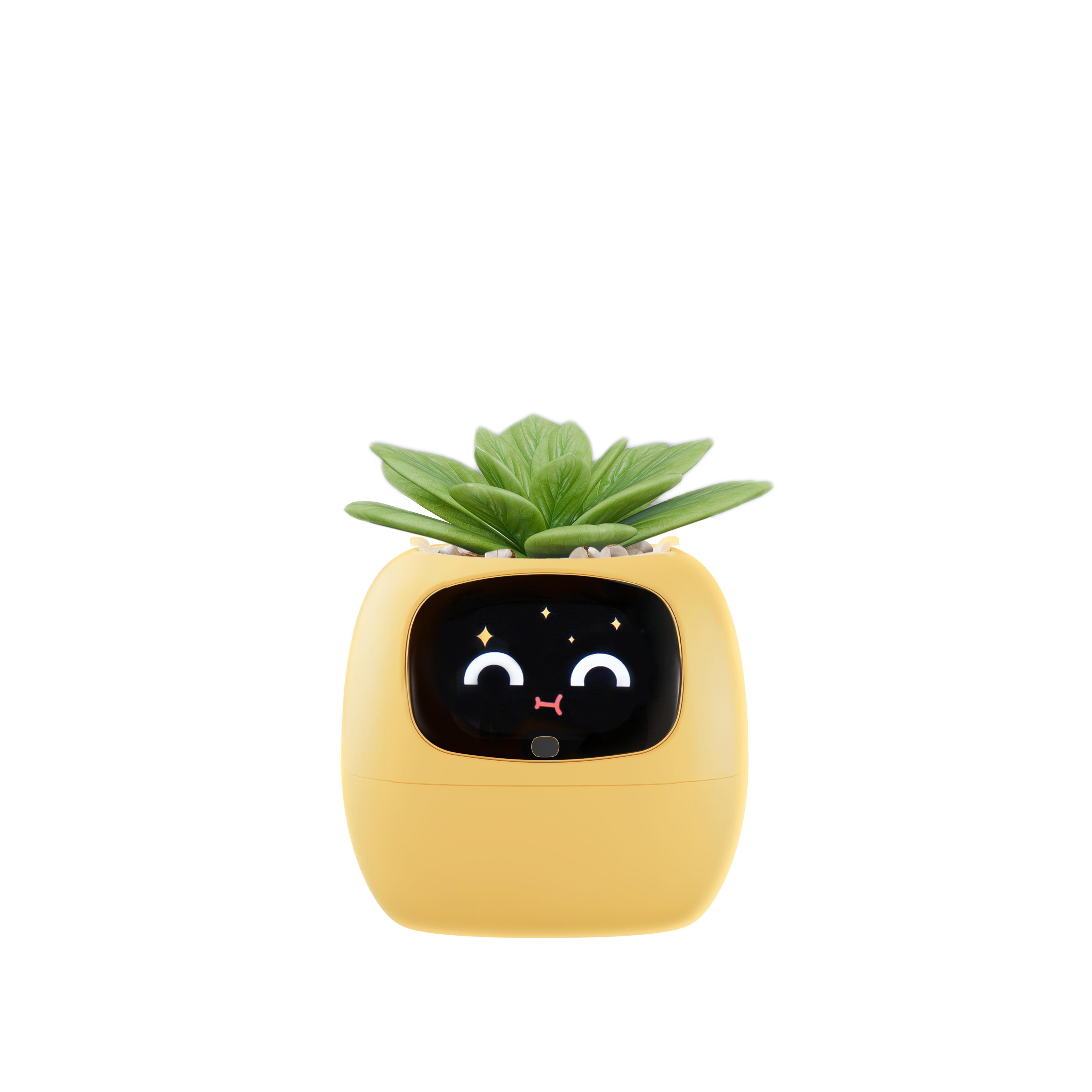 What should I do if I can't upload images or videos properly?