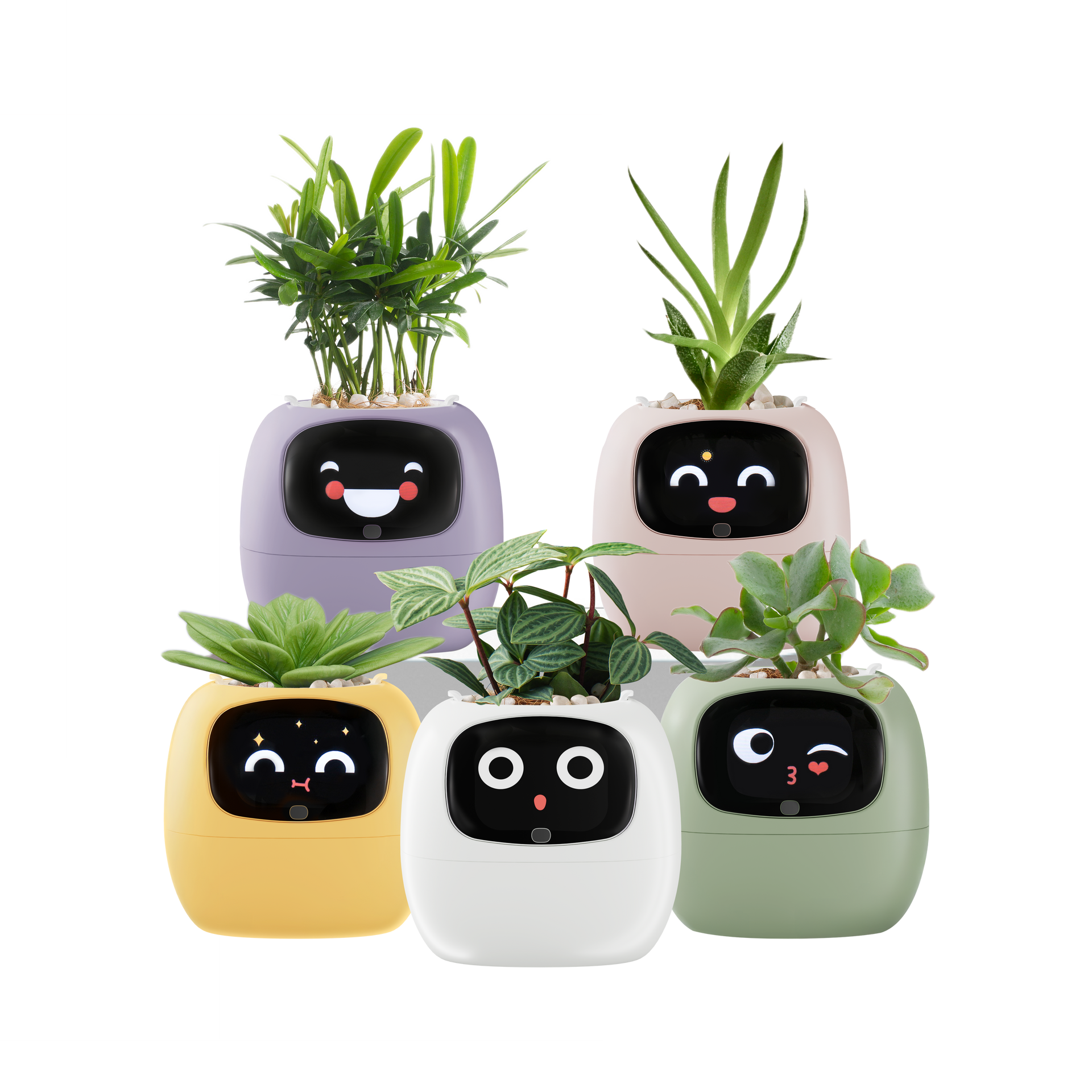 What should I do if the plant I want to grow is not on the app's list?