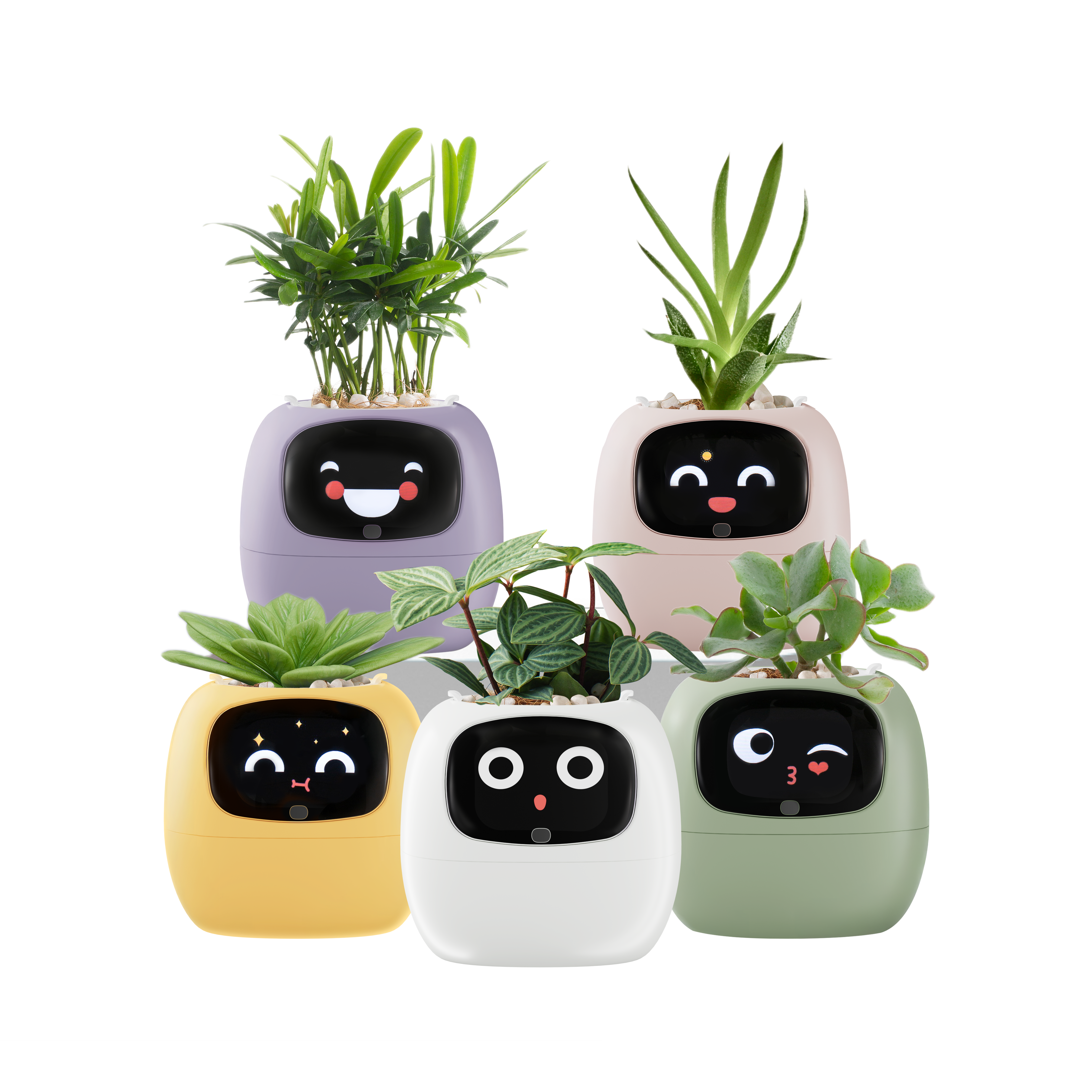 Ivy is Not Showing Expressions - Plant Detection Issues