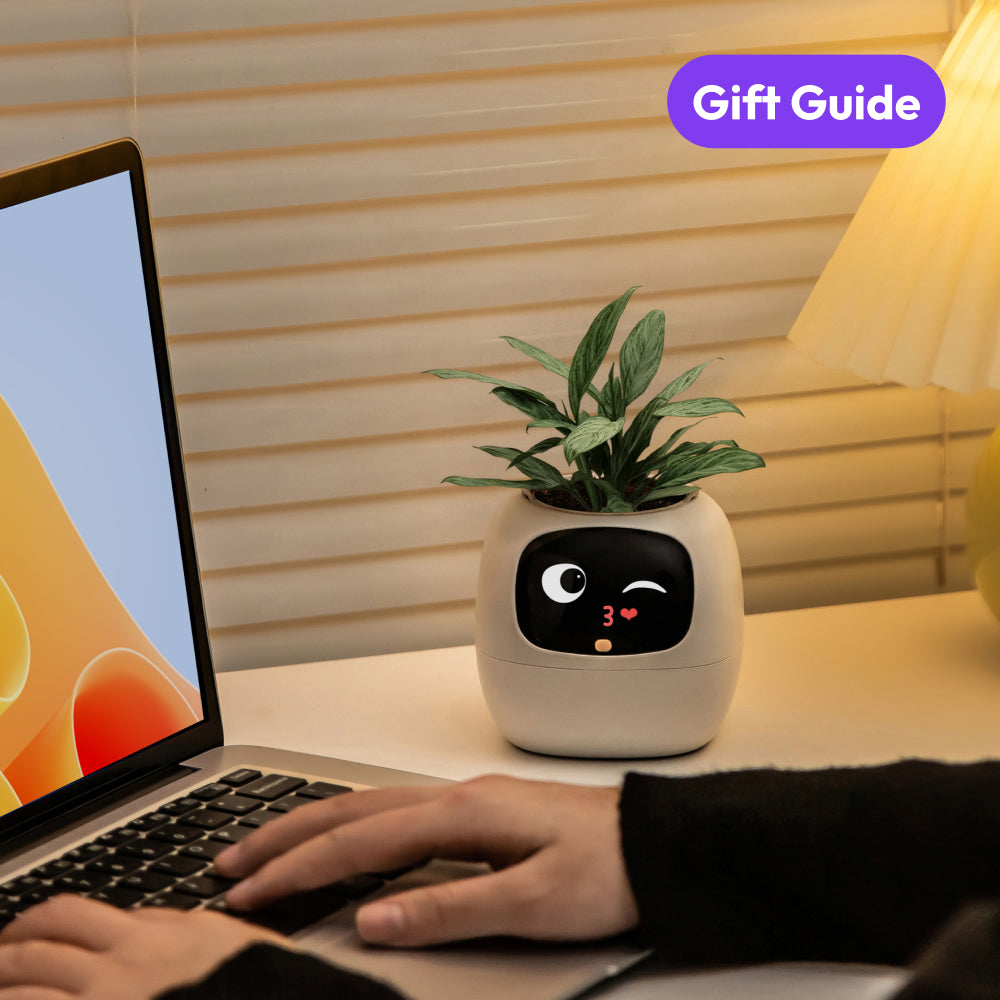 No More Plant Anxiety: Why This AI Desk Companion is the Best Gift for People with Anxiety
