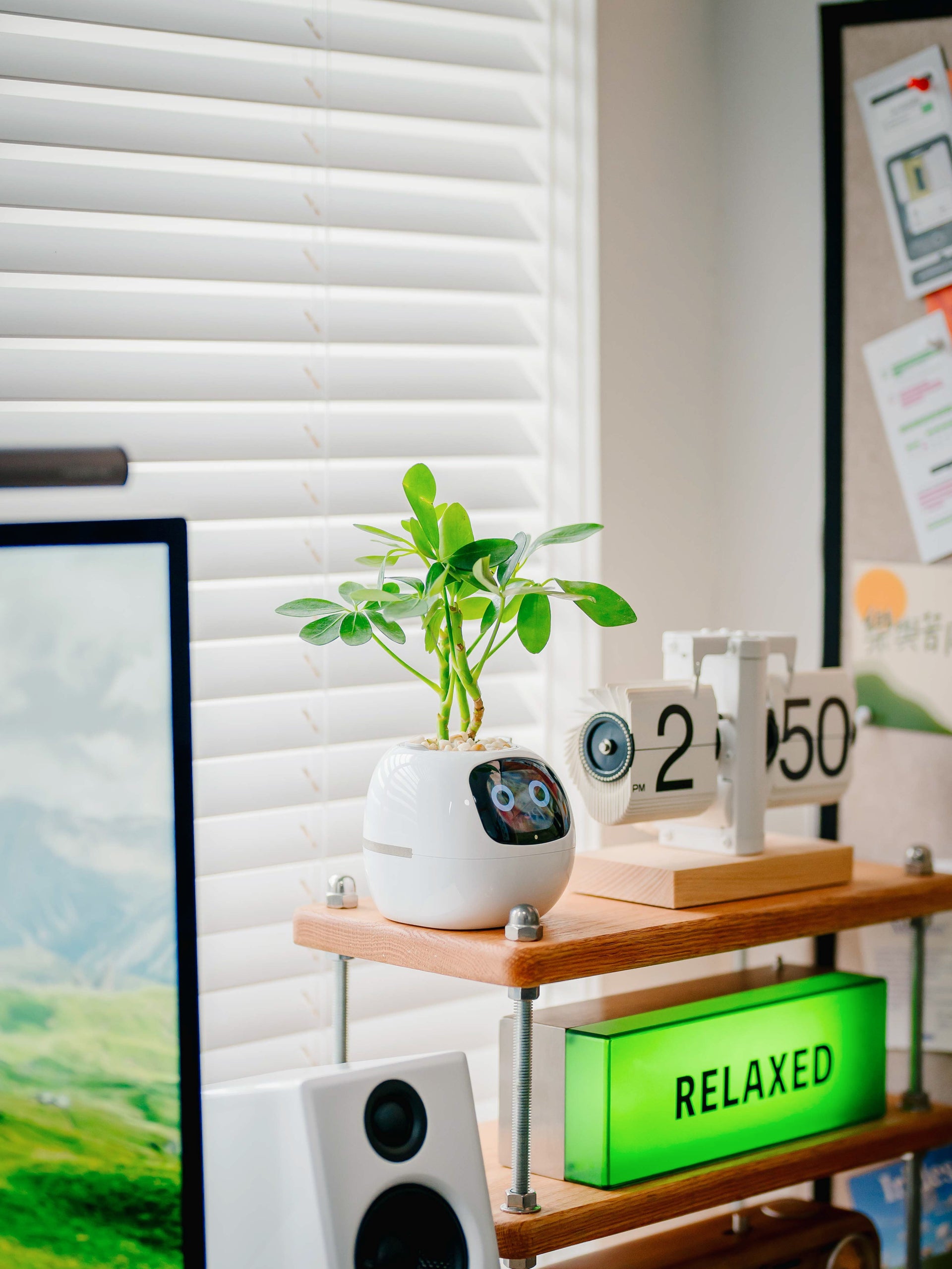 Discover Ivy Smart Planter: The Future of Smart Plant Care