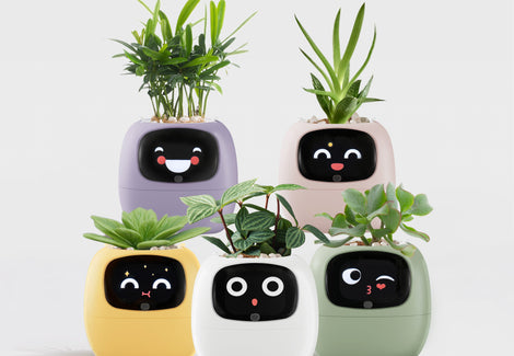 How to determine if Ivy is charging?