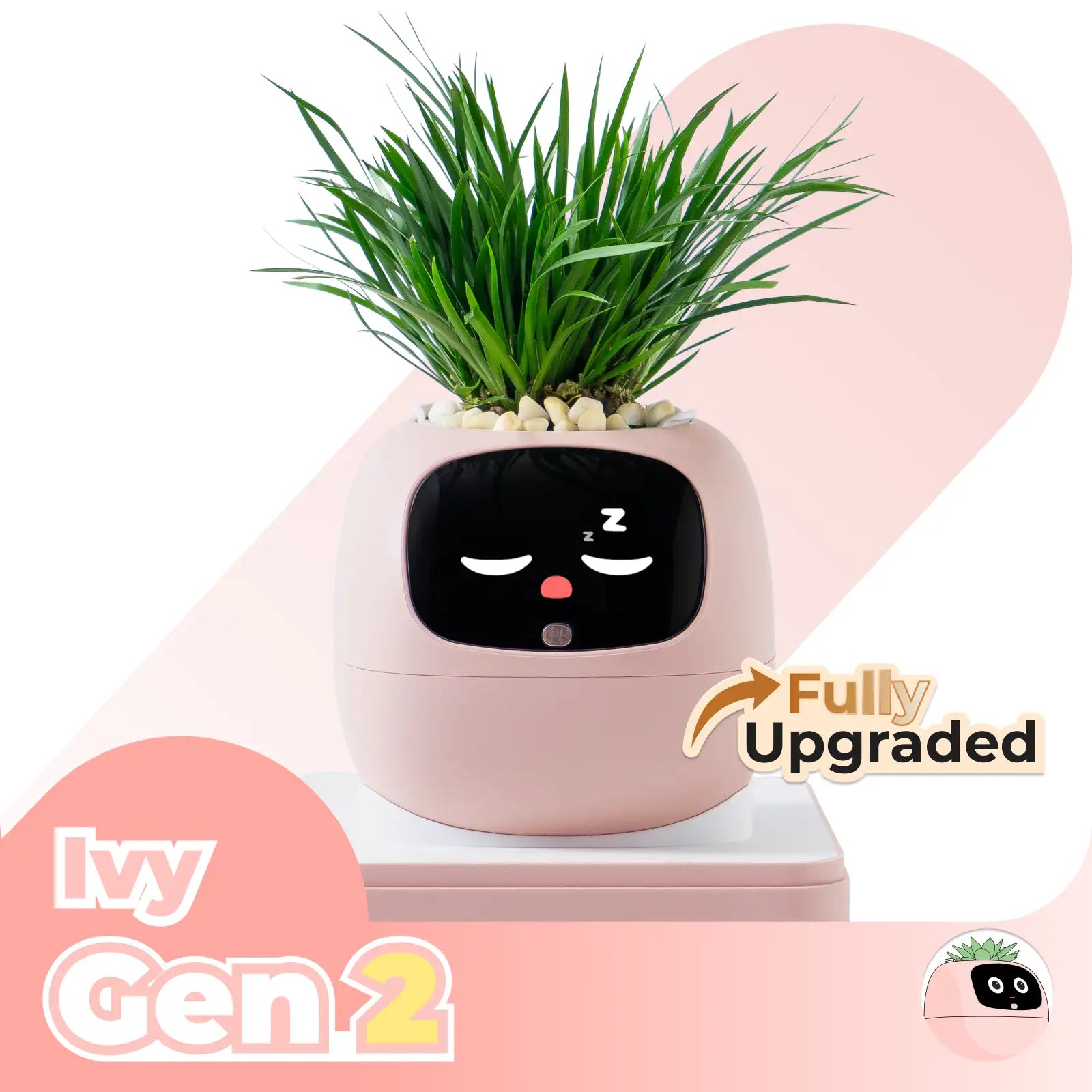 Ivy Gen 2- Valentine’s bundle