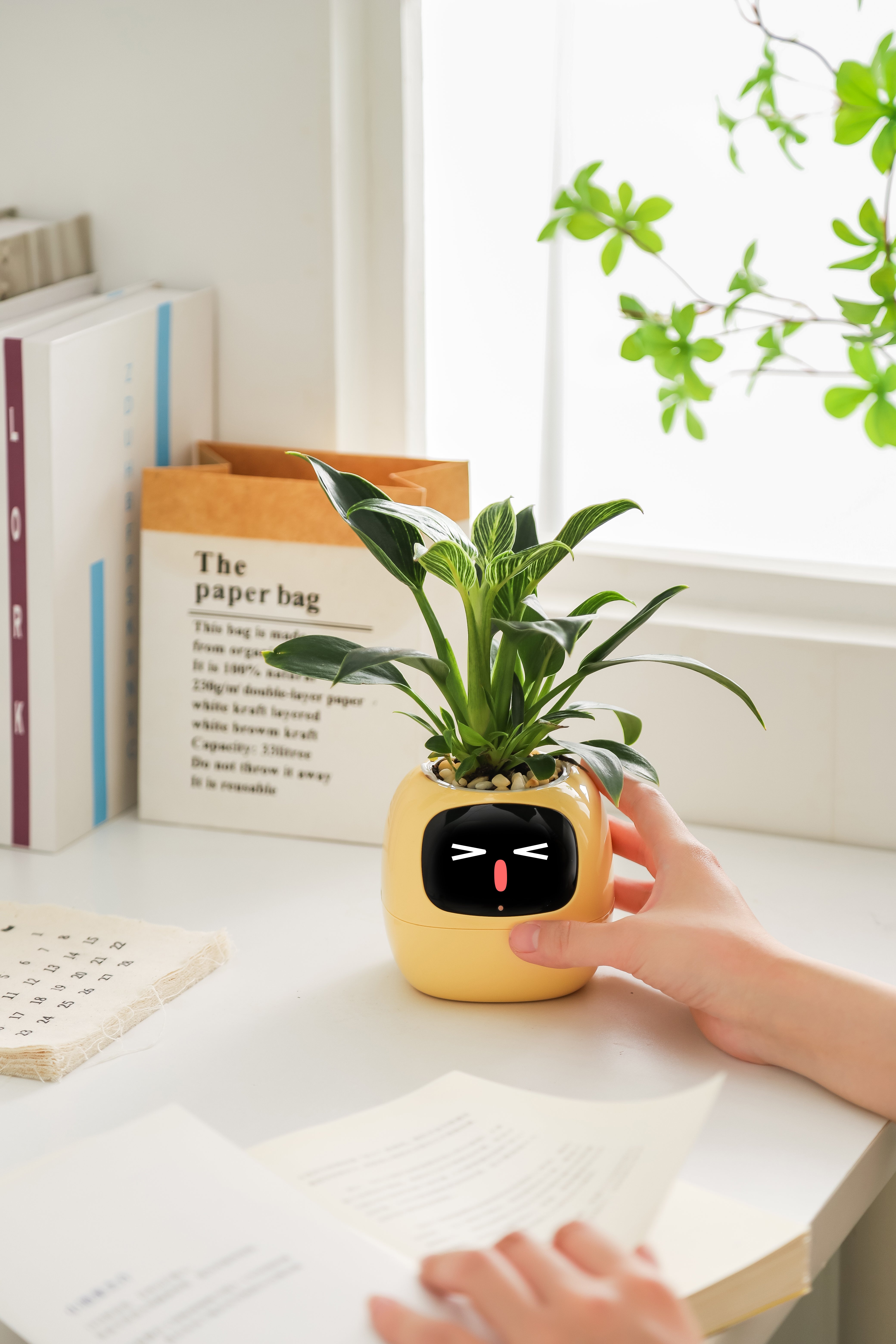 Ivy Smart Planter