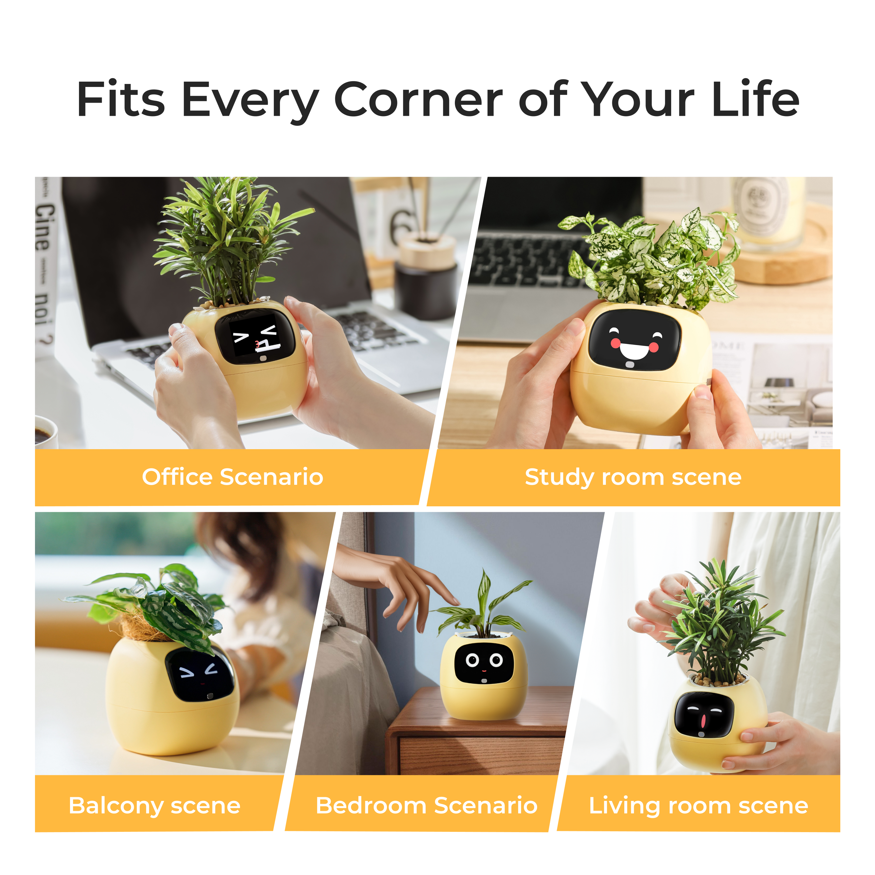 Ivy Gen 2- Gift a Green SurpriseFull of Delight