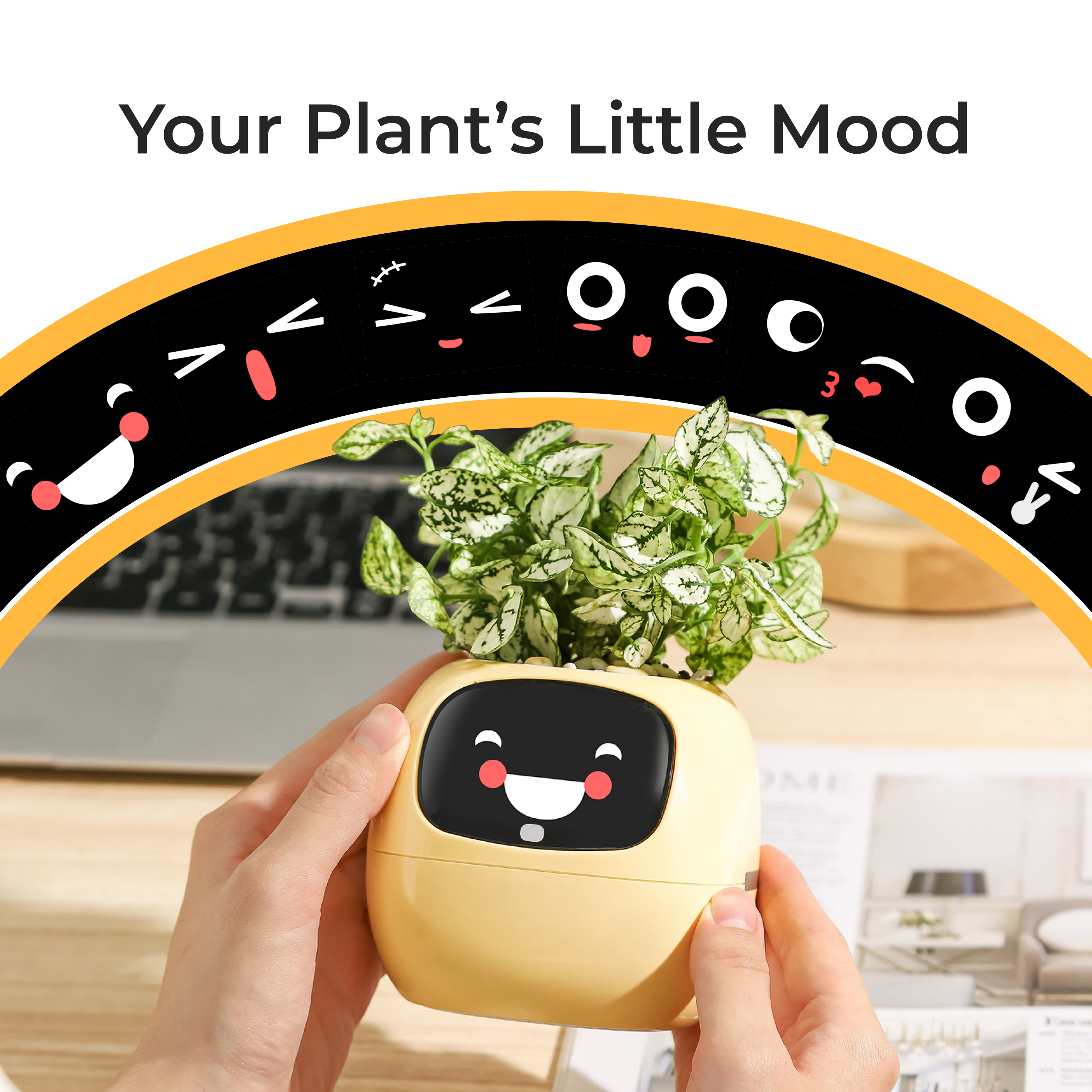 Ivy Gen 2- Your Green Companion Anywhere