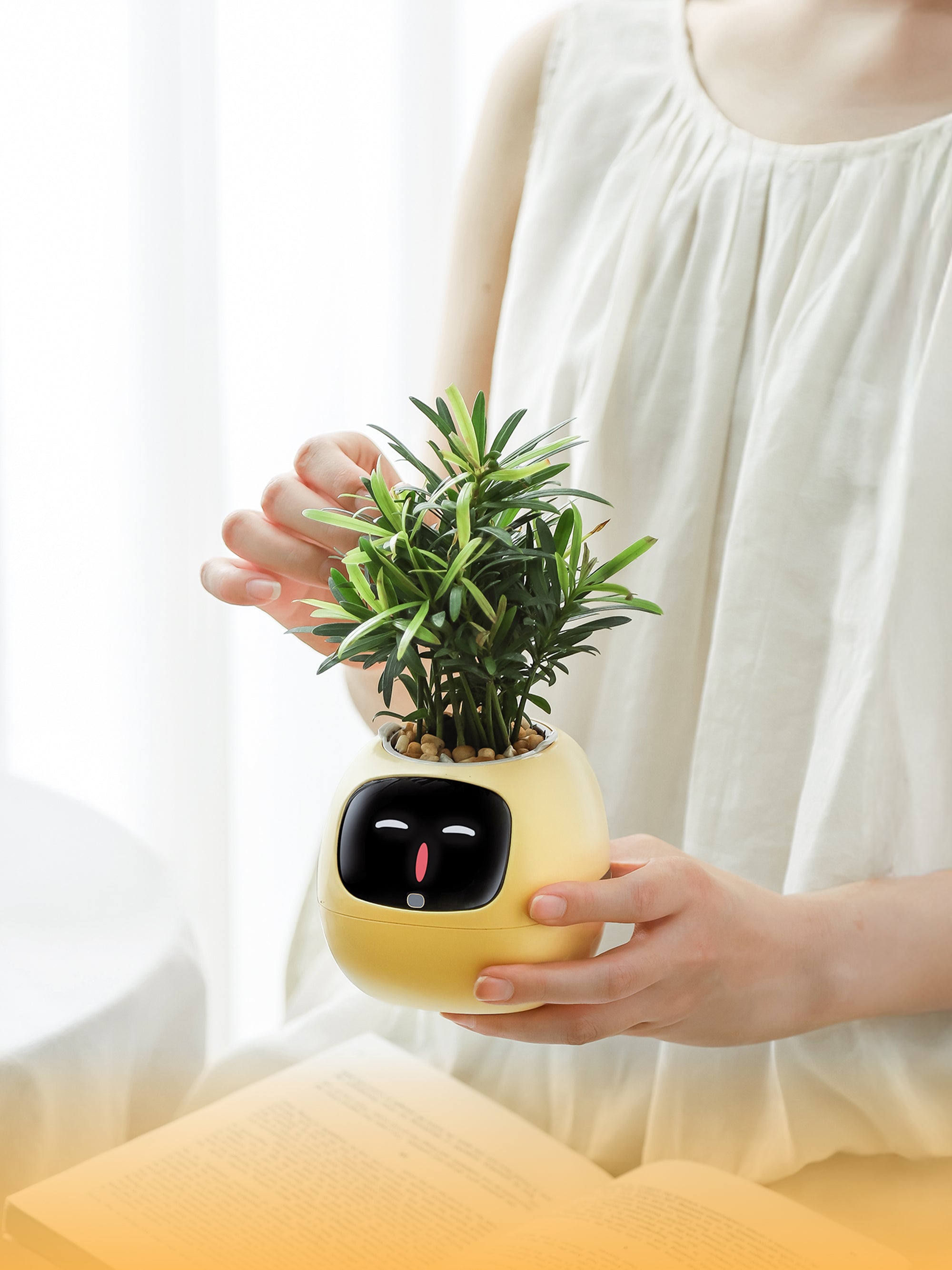 PlantsIO