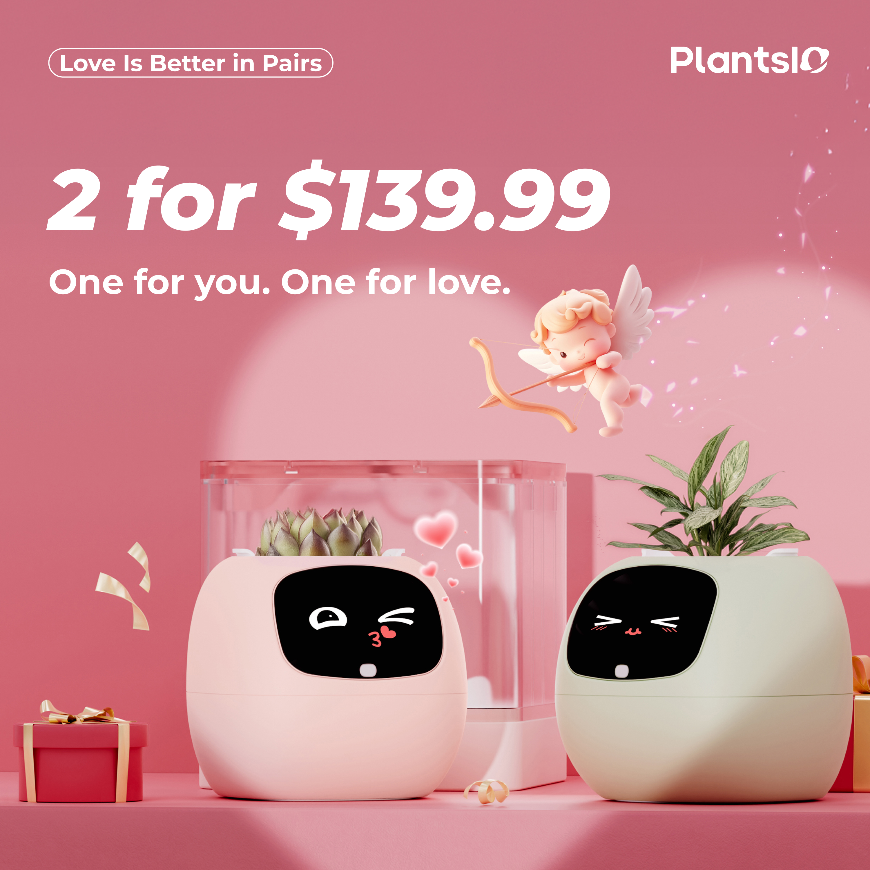 Ivy Gen 2- Valentine’s bundle