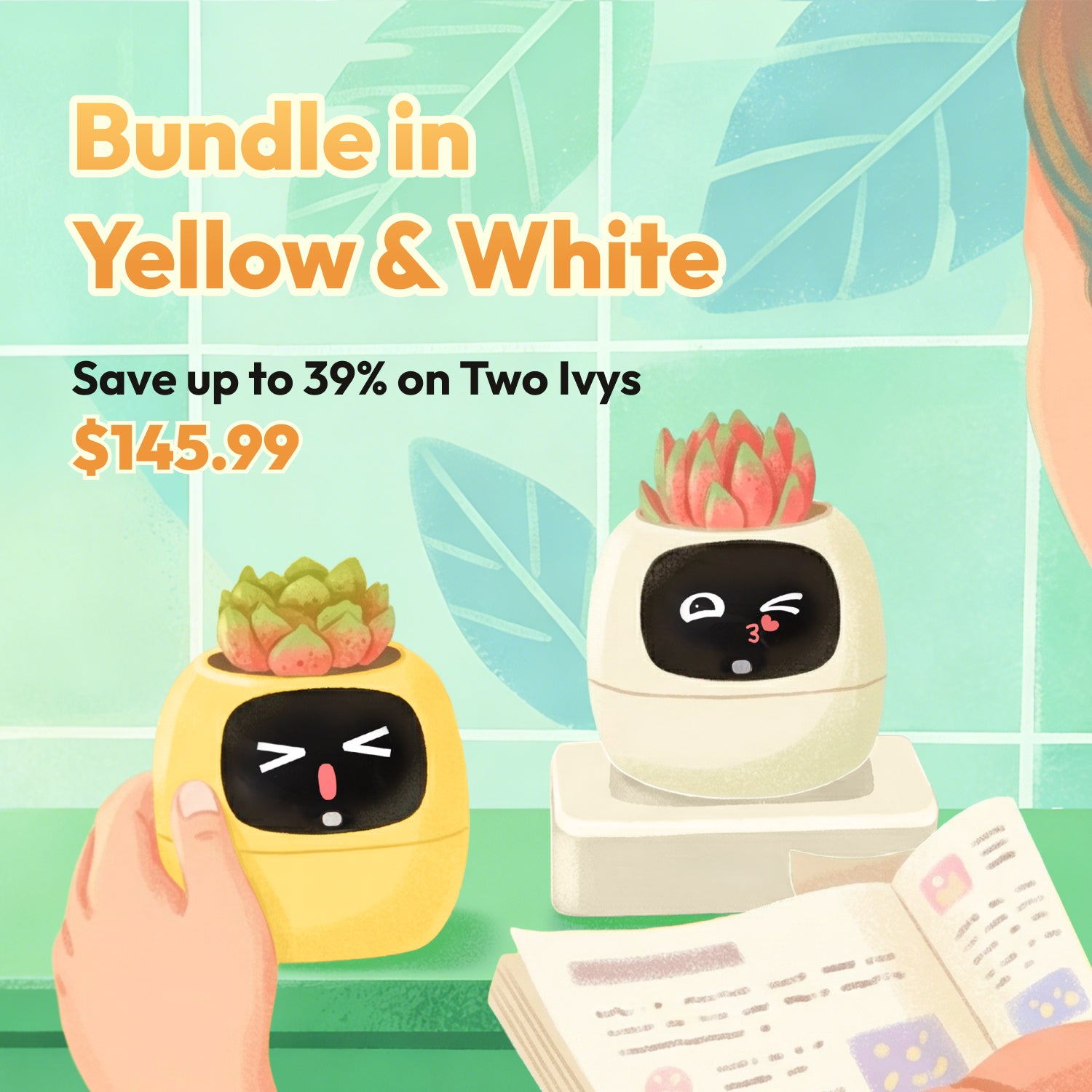 Ivy - Bundle Deals