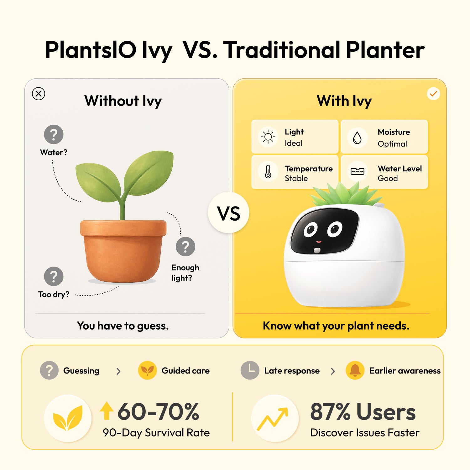 Ivy Desk Plant Pet
