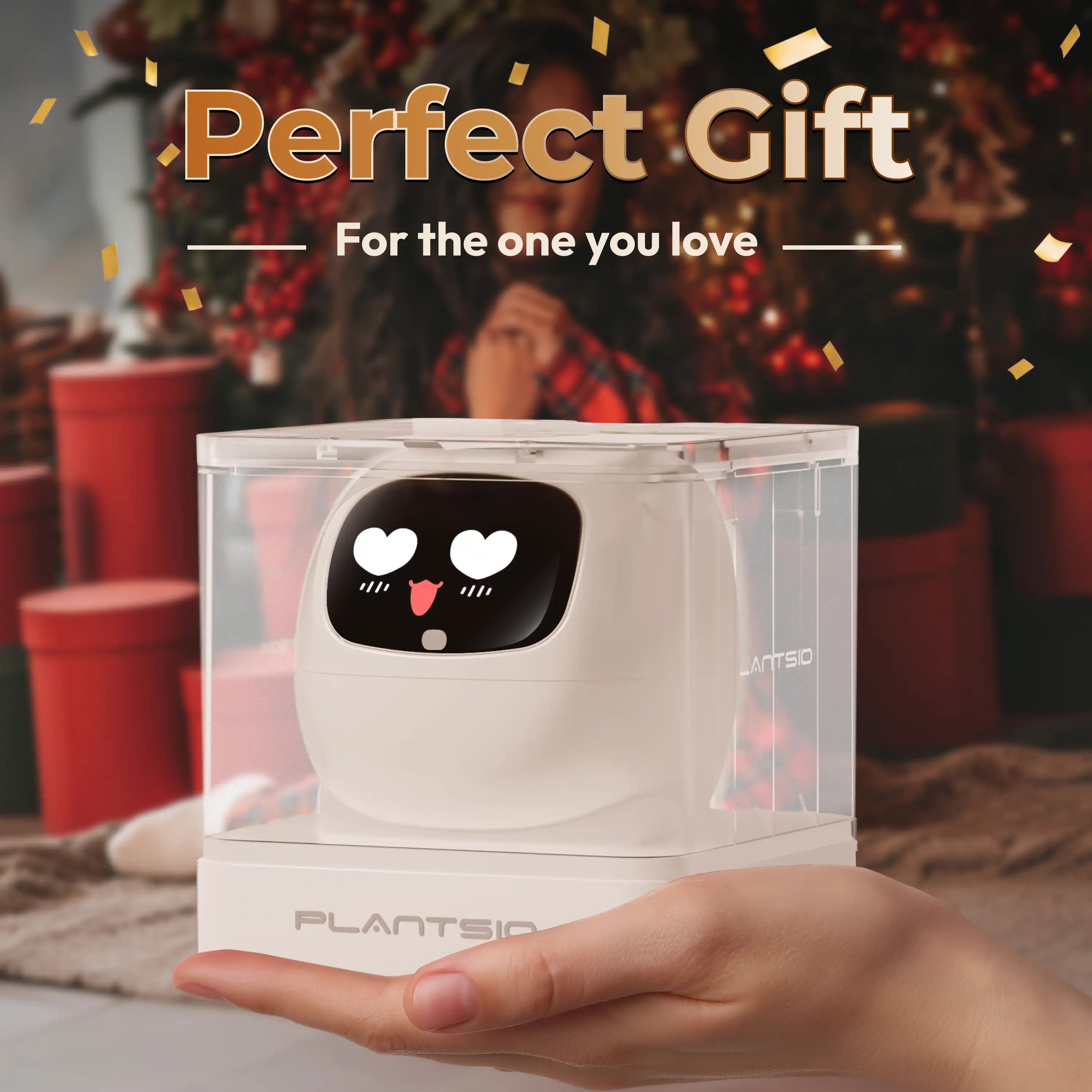 Ivy — The Gift That Never Misses