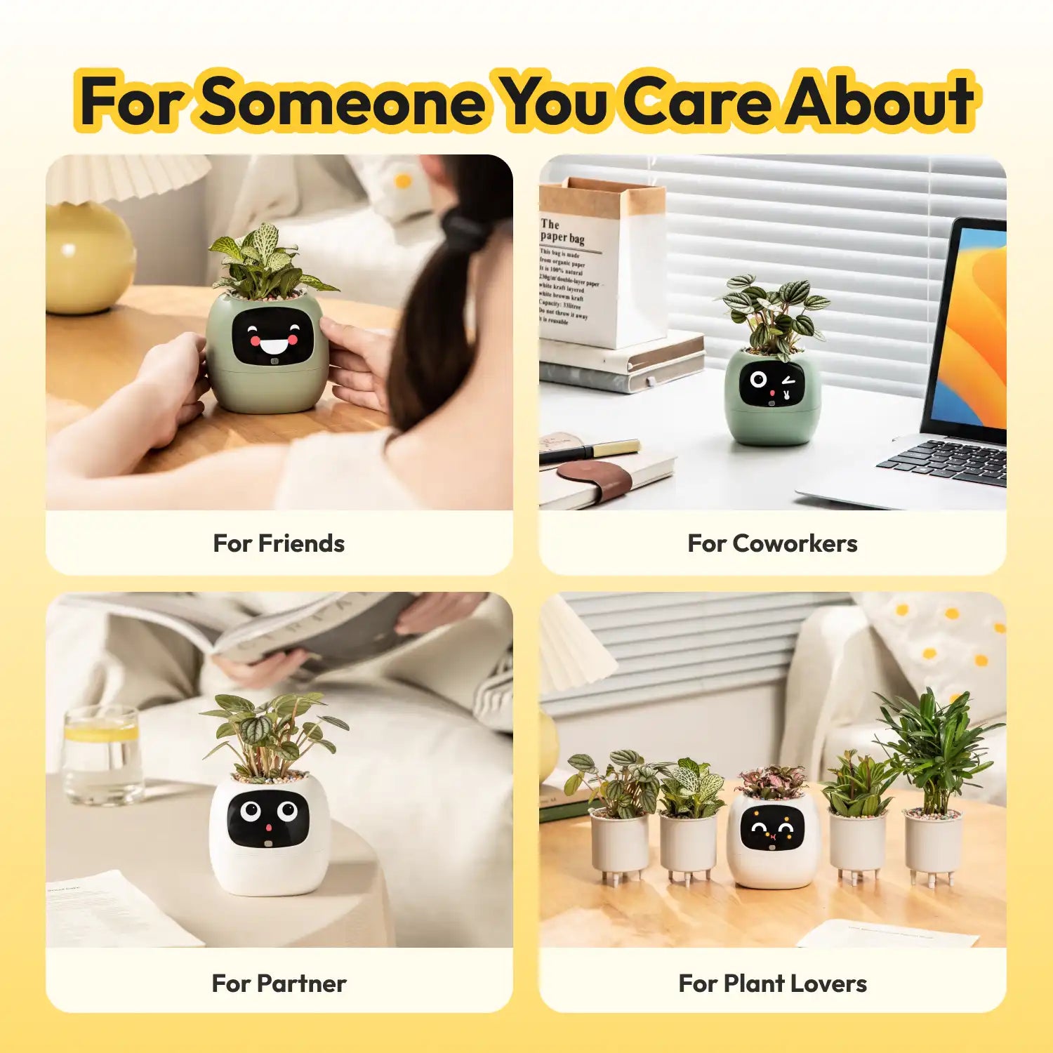 Ivy — The Gift That Never Misses