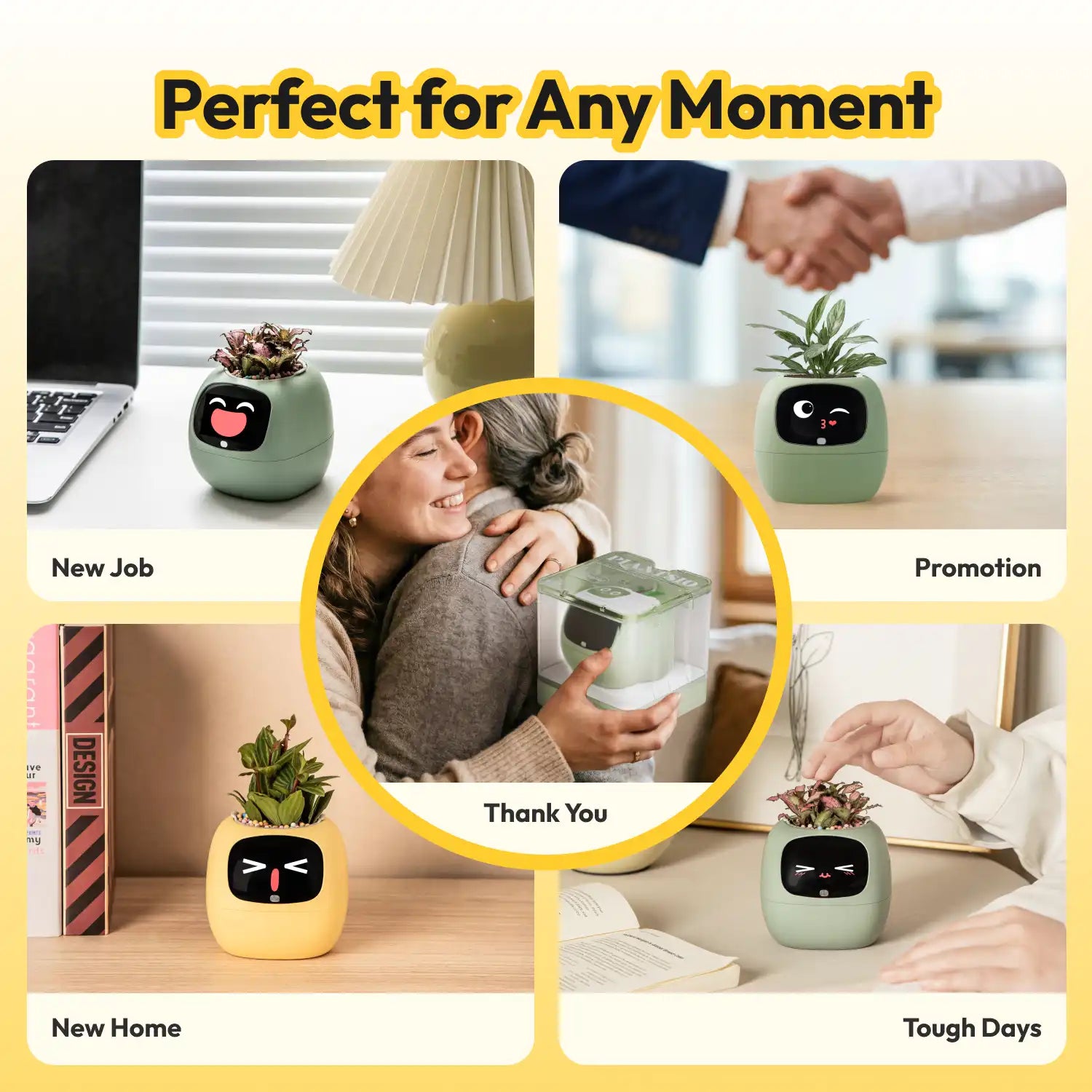 Ivy — The Gift That Never Misses