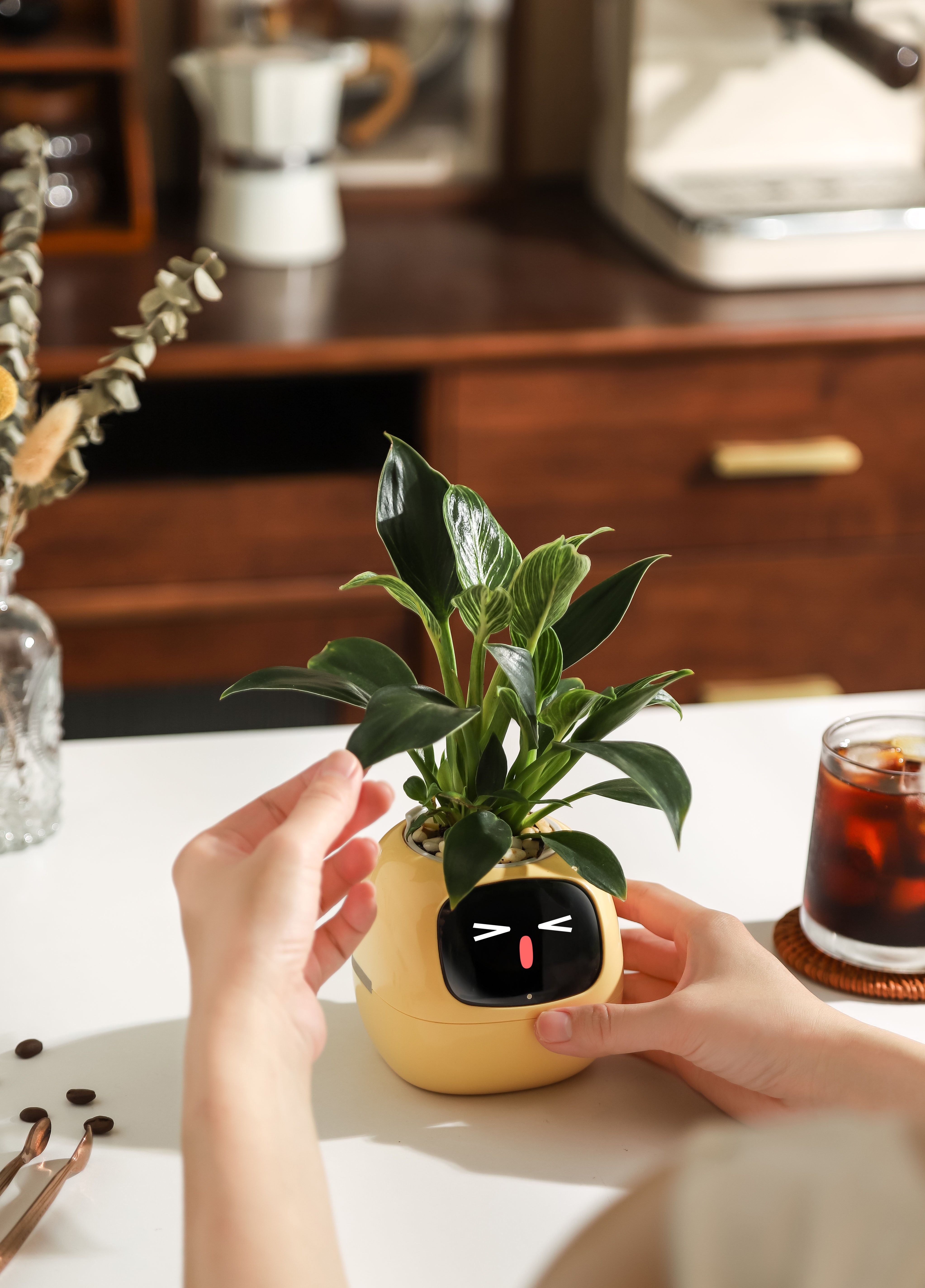 Ivy Smart Planter