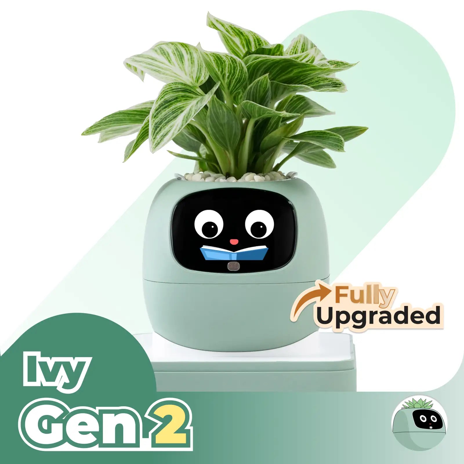 Ivy Gen 2- Valentine’s bundle
