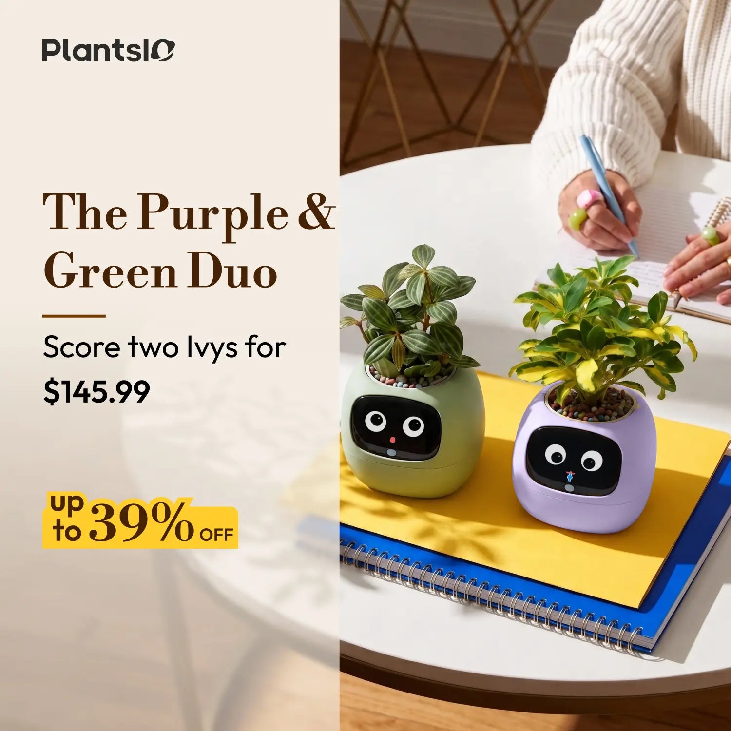 Ivy - Purple & Green Set