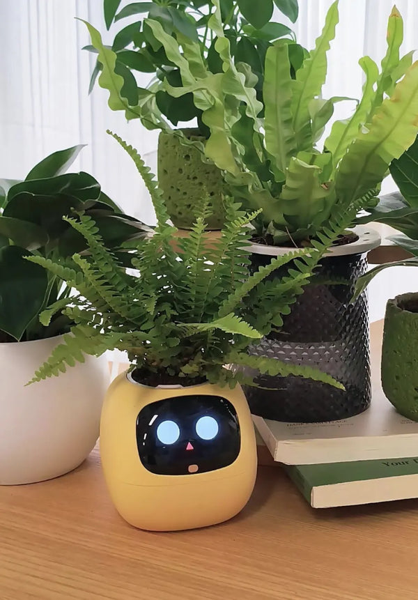 gifts for houseplant lovers