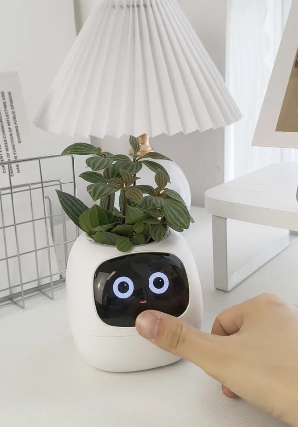 best gifts for plant lovers