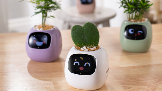 Discover Ivy Smart Planter: The Future of Smart Plant Care