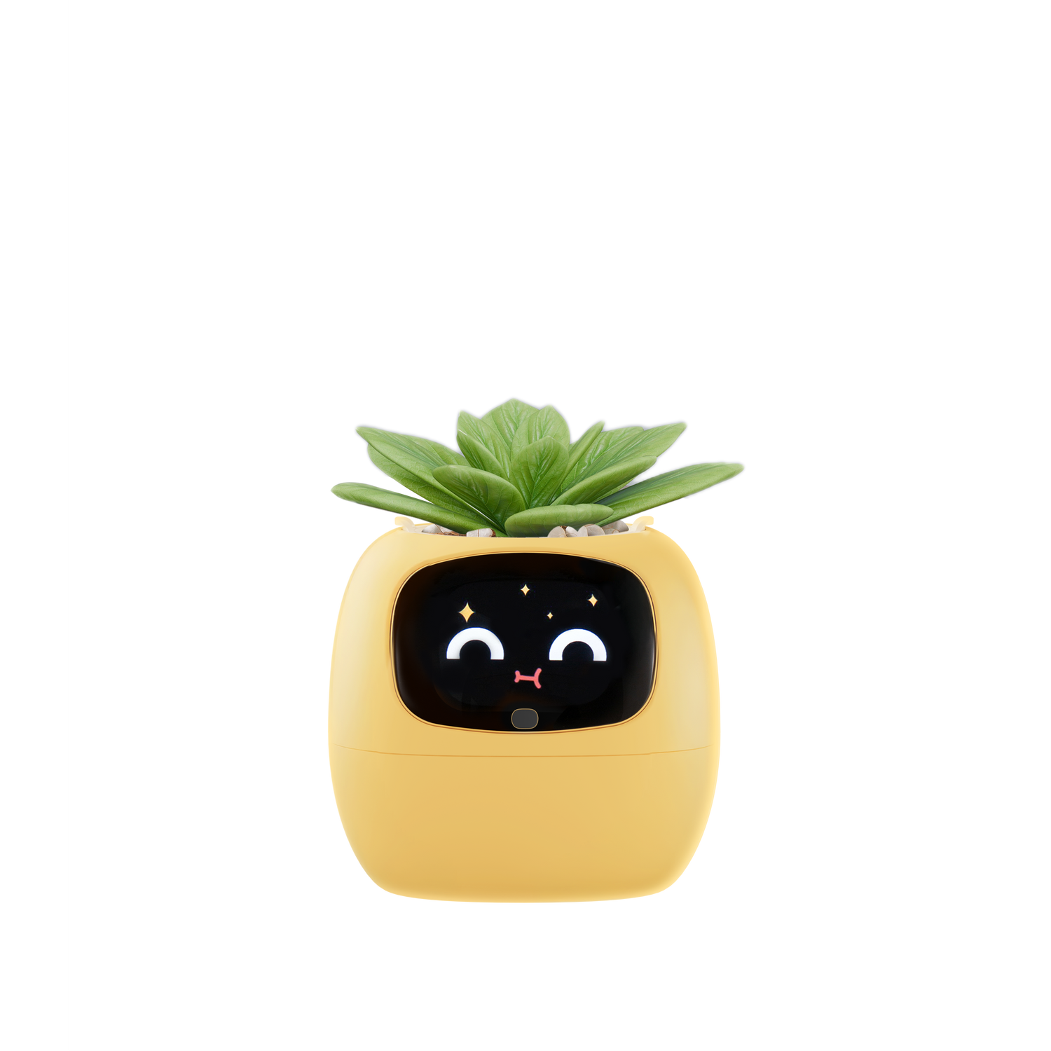 Unable to Access Custom Animation Page