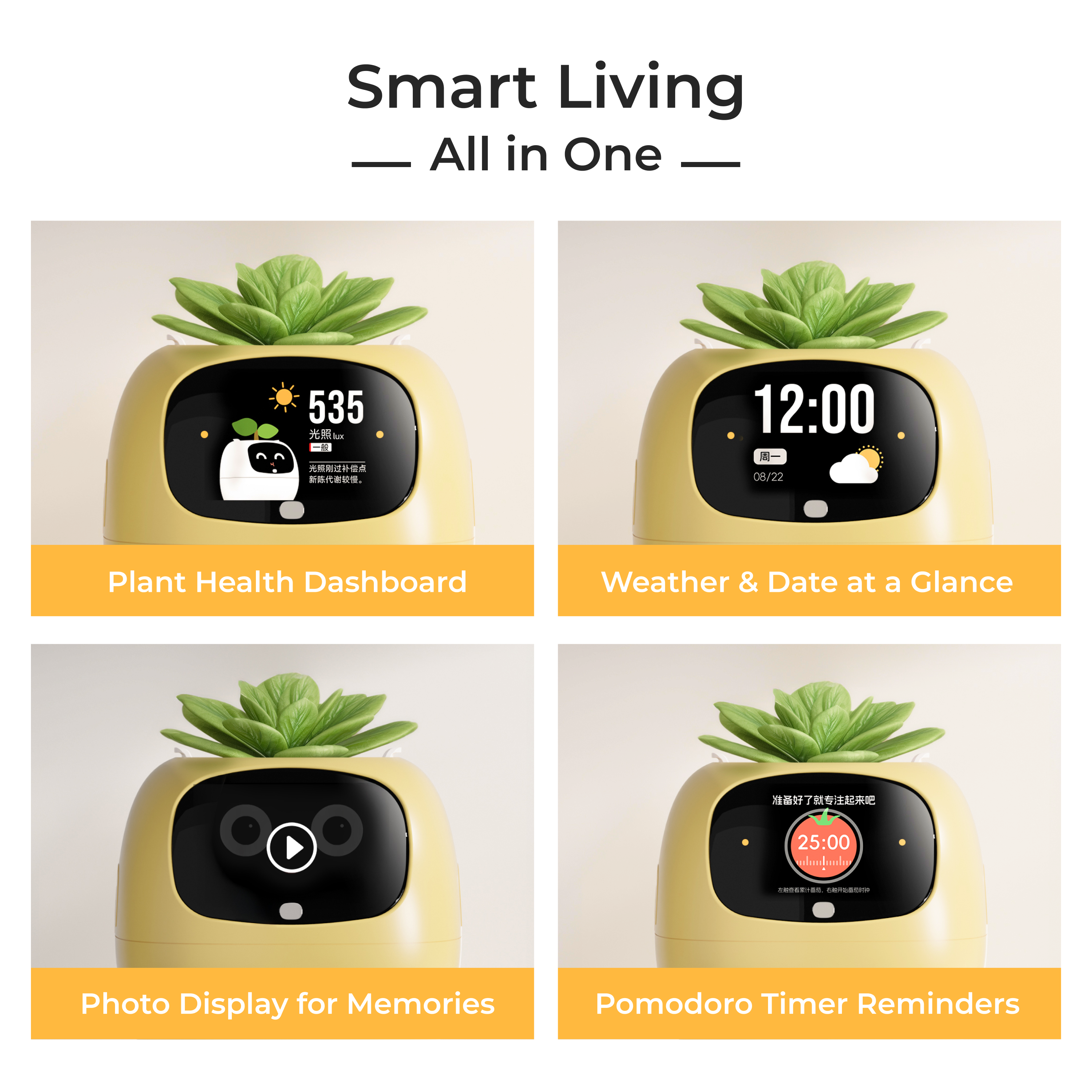 Ivy Gen 2- Gift a Green SurpriseFull of Delight