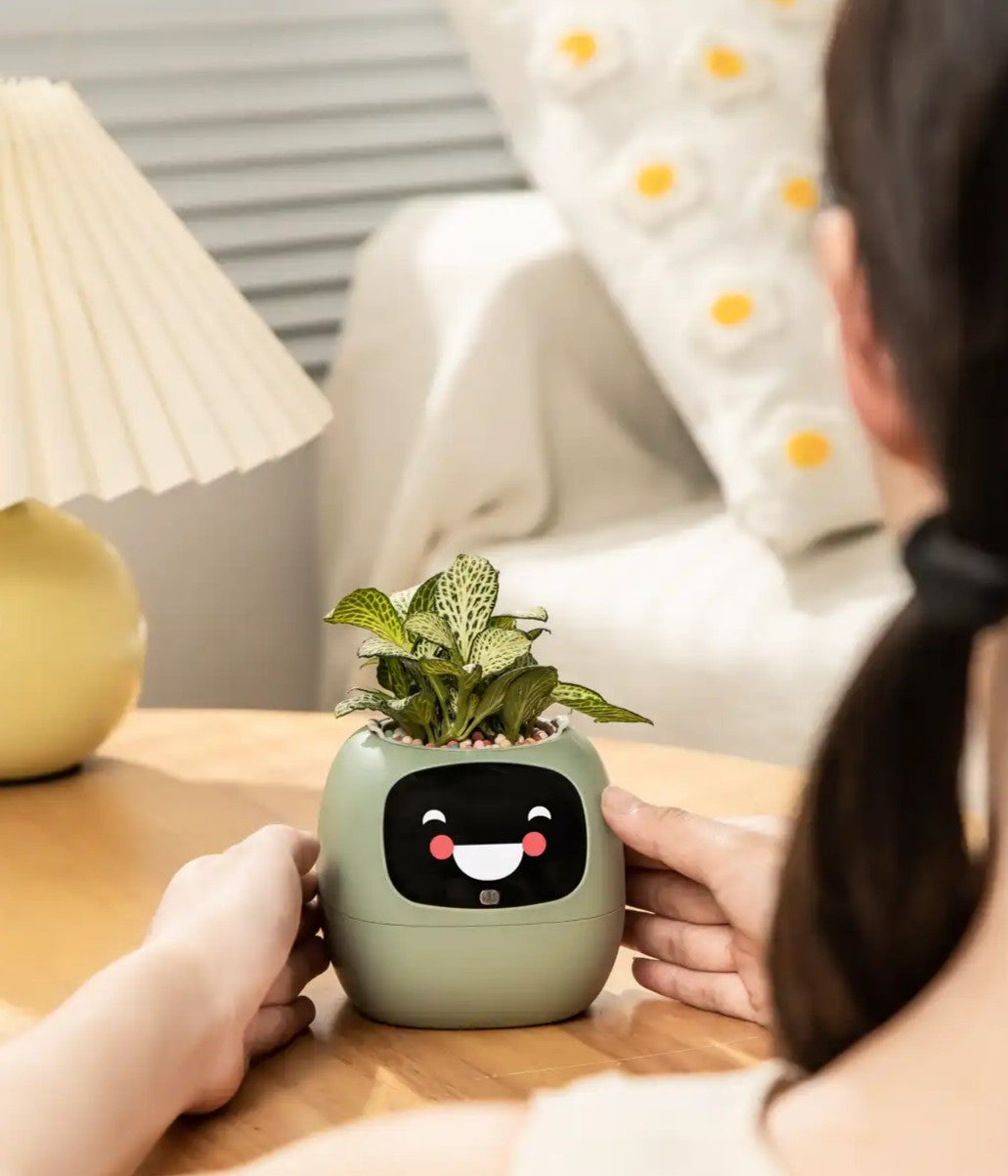 PlantsIO Ivy スマートプランター – 植物が喜ぶインタラクティブプランター