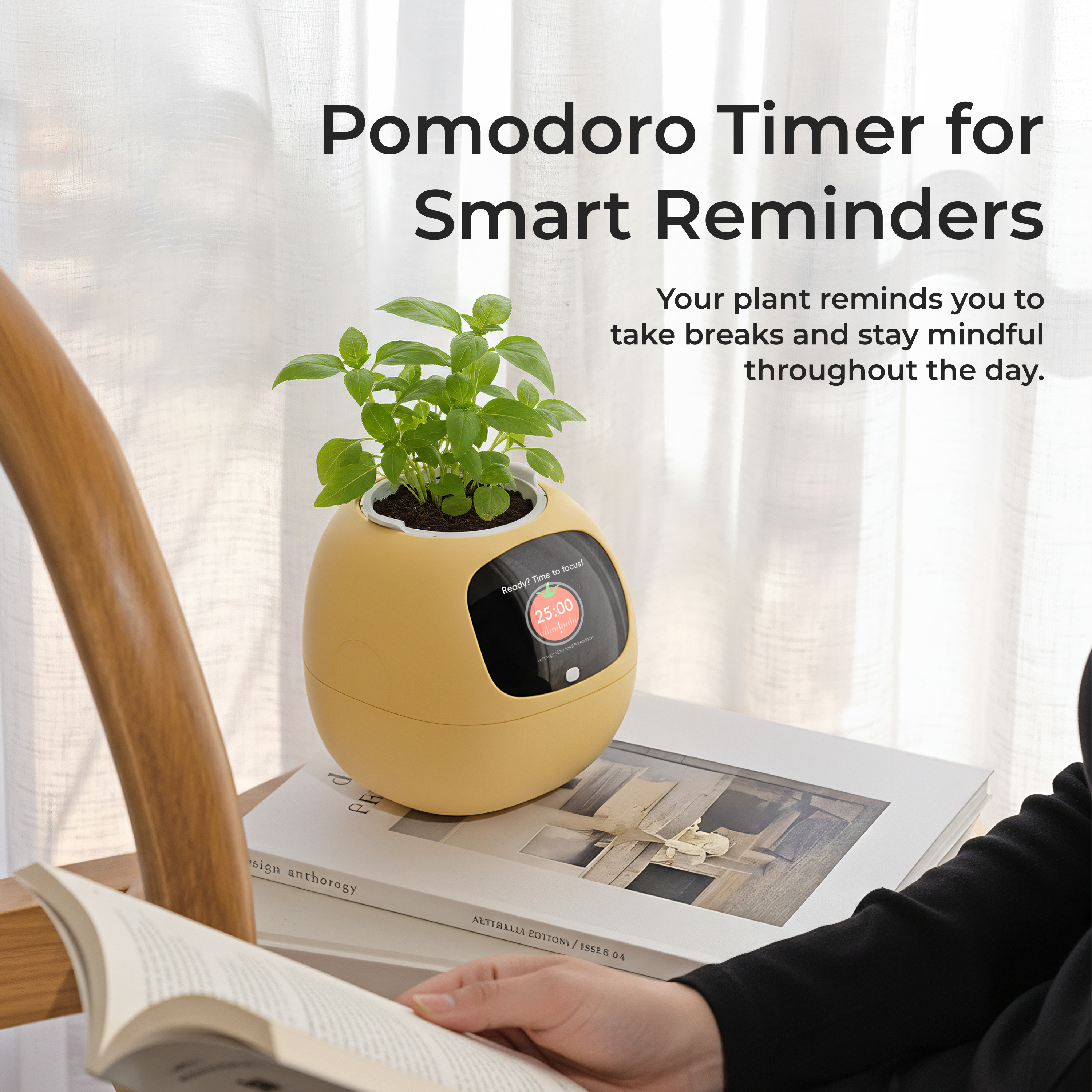 Ivy Gen 2- Gift a Green SurpriseFull of Delight