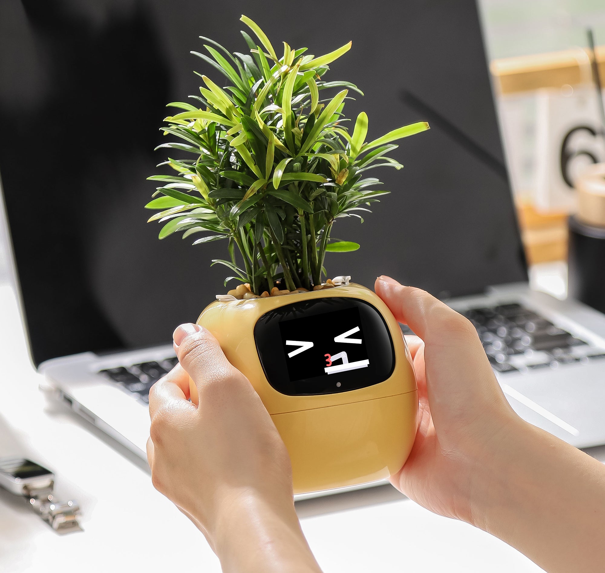 Ivy Smart Planter