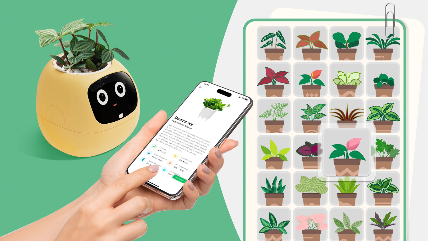 PlantsIO