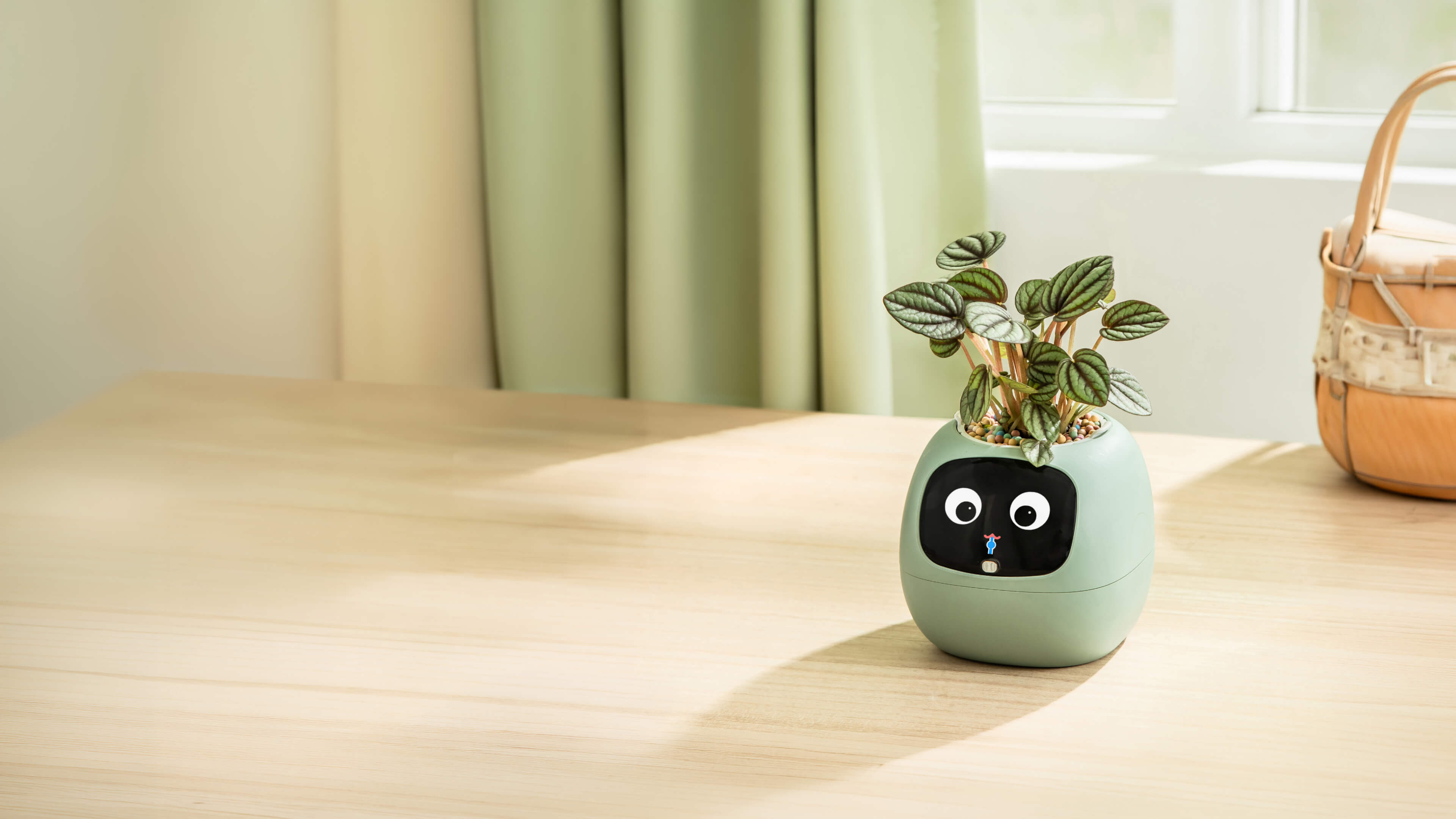PlantsIO Ivy スマートプランター – 植物が喜ぶインタラクティブプランター