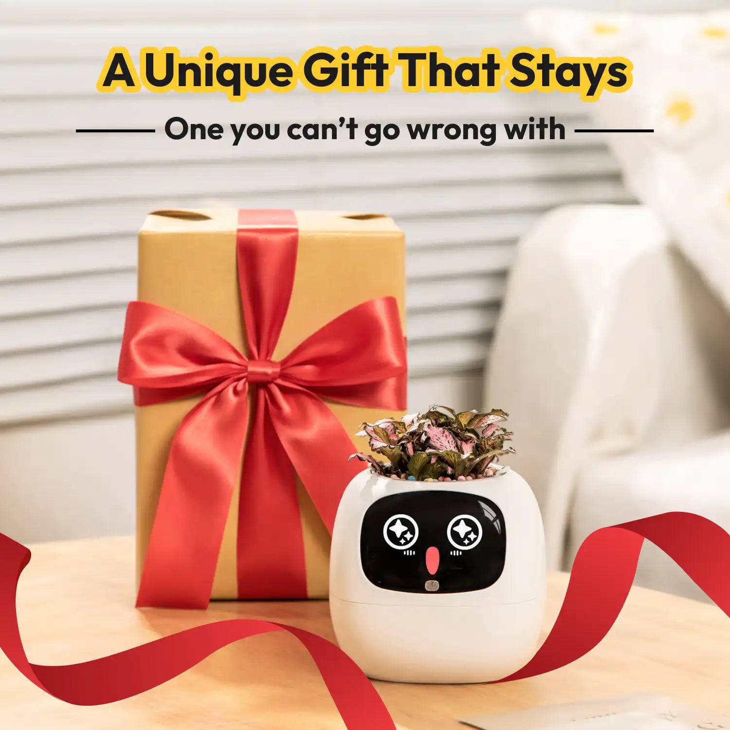 Ivy — The Gift That Never Misses