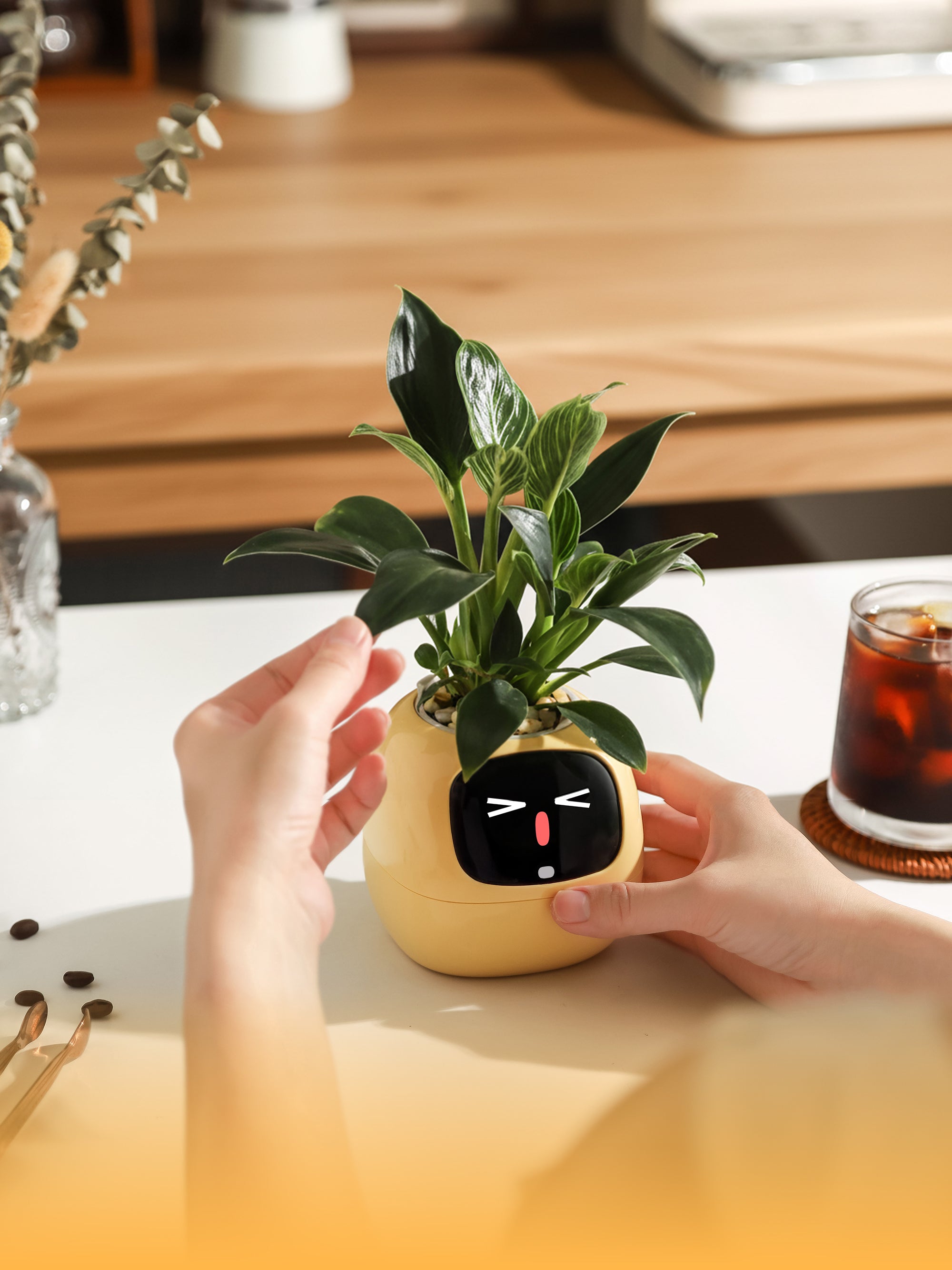 PlantsIO