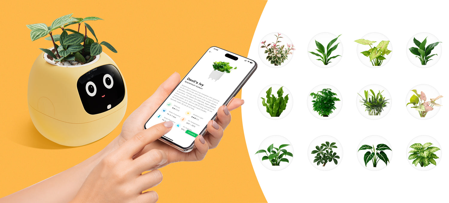 PlantsIO