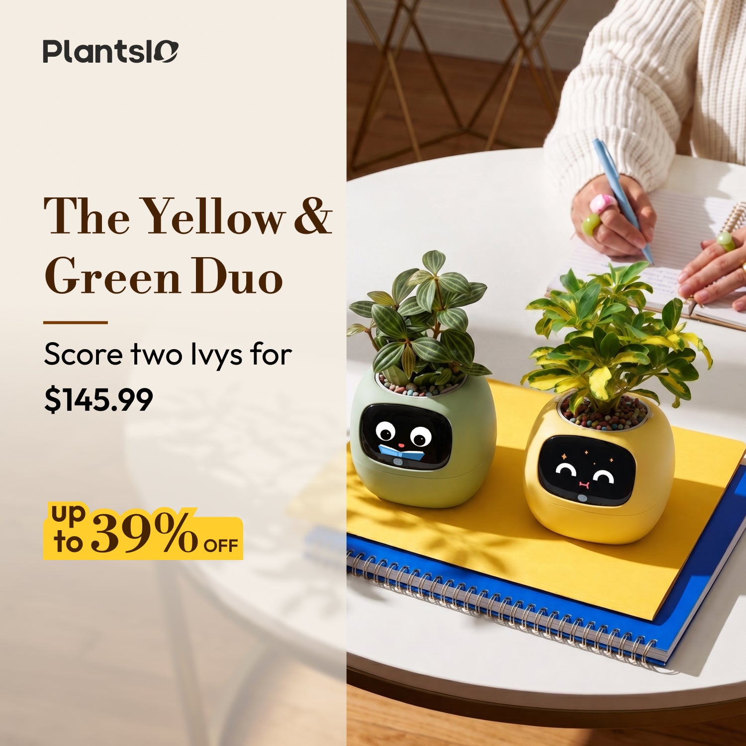 Ivy - Yellow & Green Duo