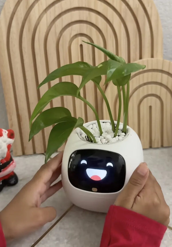 ai plant pot
