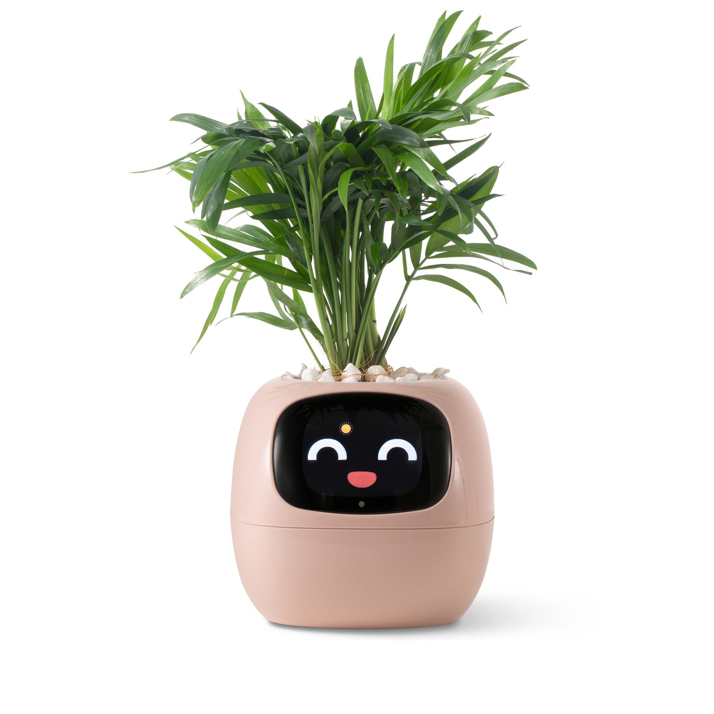 Ivy Smart Planter