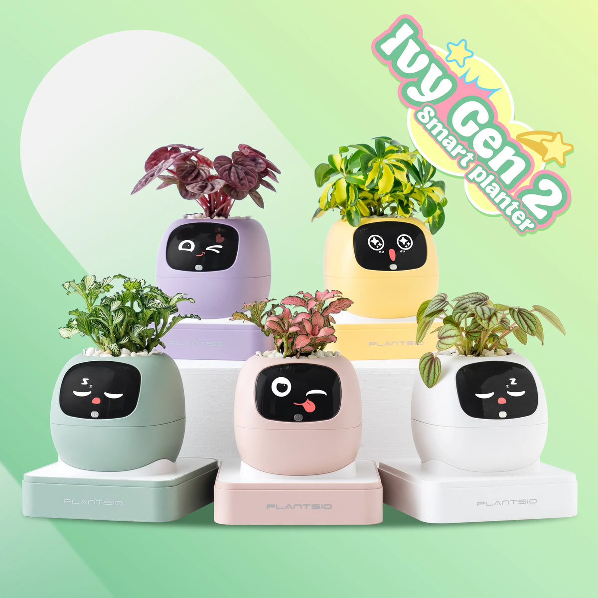 Een Jonge Man Vervoert Een Groene Plant in Een Witte Tuinpot. Jongens Een Jonge Man Vervoert Een Groene Plant in Een Witte Tuinpot. Jongens