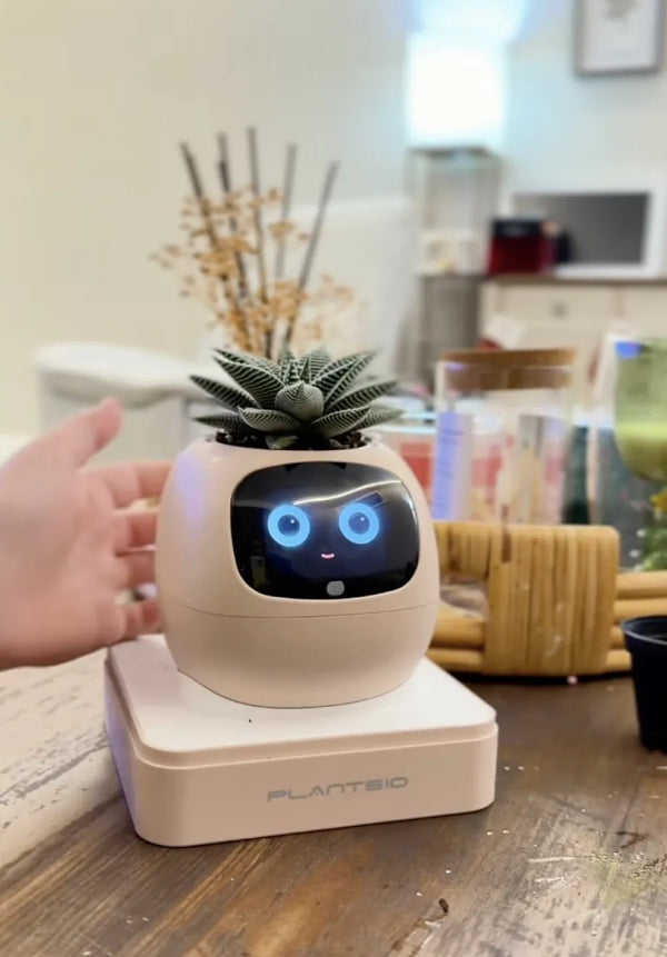 automatic watering system for potted plants

