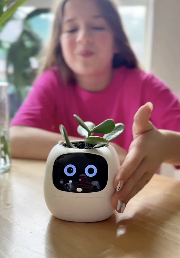 self watering planters for indoor plants
